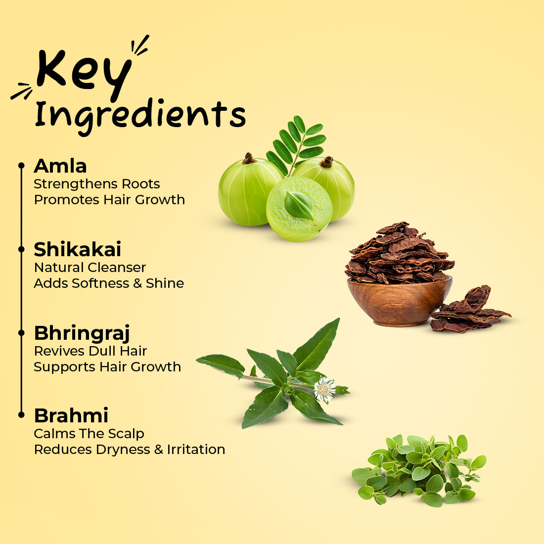 Sunny Herbals Hair Color with Henna, Amla, Shikakai and Bhringraj 20 Gm