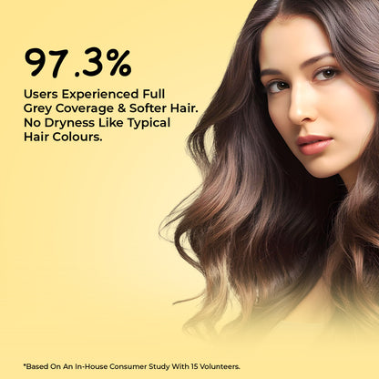 Sunny Herbals Hair Color with Henna, Amla, Shikakai and Bhringraj 20 Gm