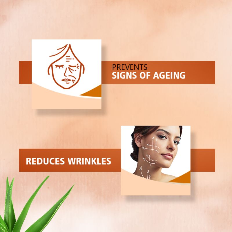Anti Aging Lotion 80ml