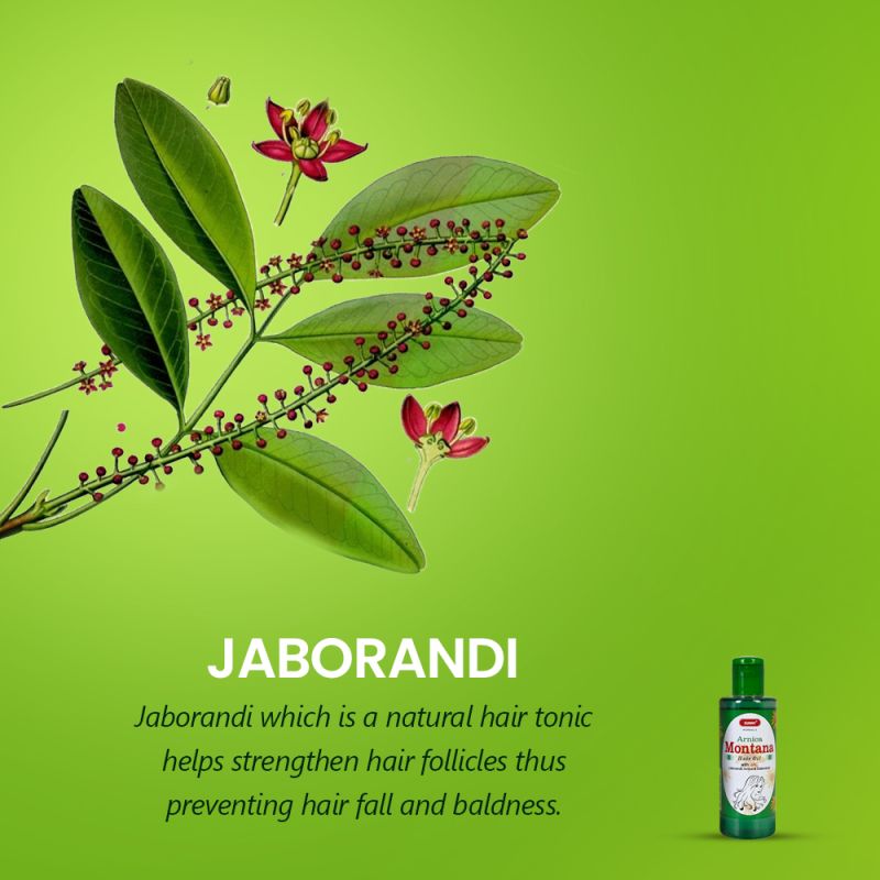 Arnica Montana Hair Oil (With Jac)