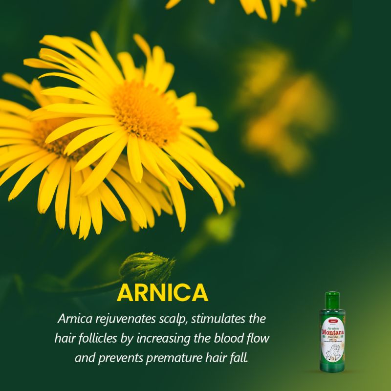 Arnica Montana Hair Oil (With Jac)