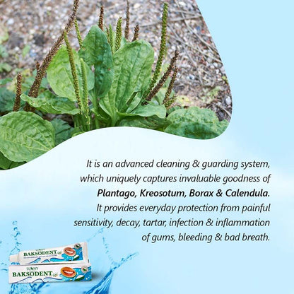 Baksodent Toothpaste Gel - 100GM