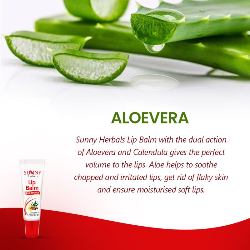 Lip Balm-10gms