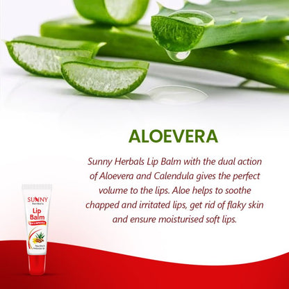 Lip Balm-10gms