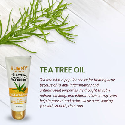 Face Wash Gel With Tea Tree Oil - 110gms